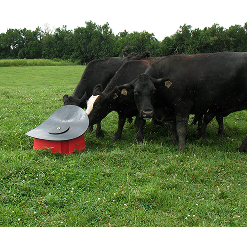 Livestock Mineral Feeder